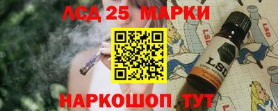 прущие грибы Сланцы