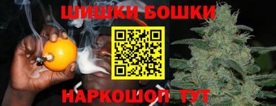 прущие грибы Сланцы