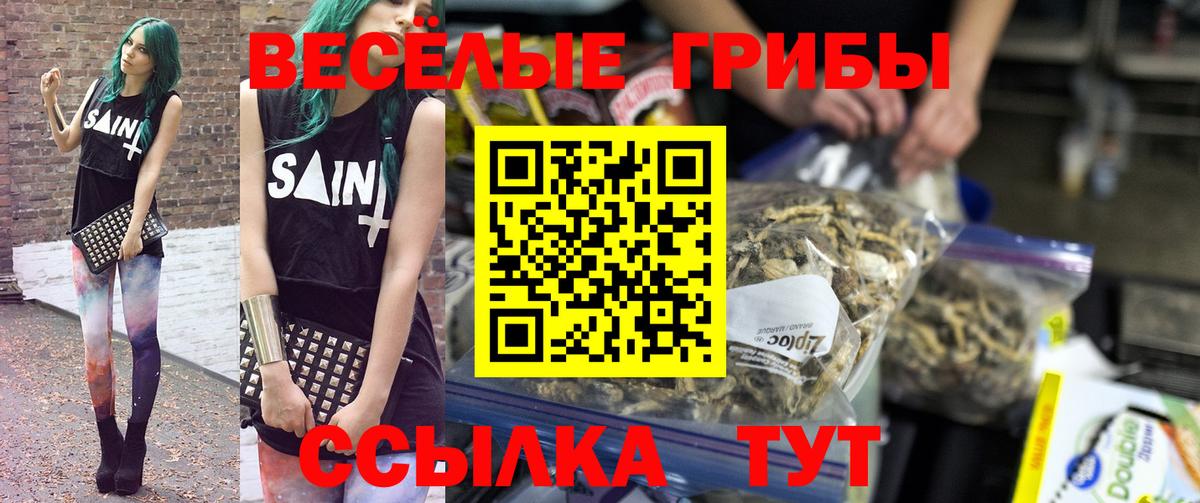 Галлюциногенные грибы Psilocybe  Вход с VPN  Наро-Фоминск  Псилоцибиновые грибы Psilocybine cubensis 